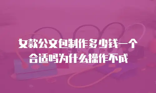 女款公文包制作多少钱一个合适吗为什么操作不成
