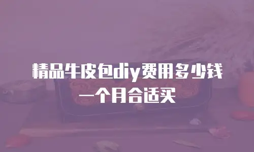 精品牛皮包diy费用多少钱一个月合适买