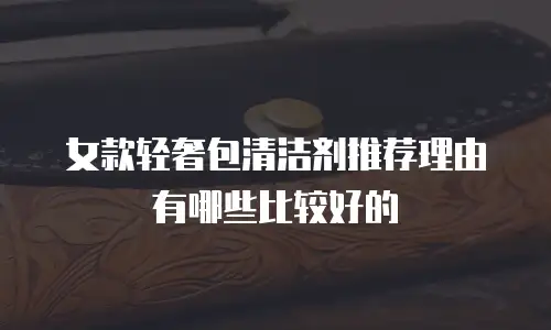女款轻奢包清洁剂推荐理由有哪些比较好的