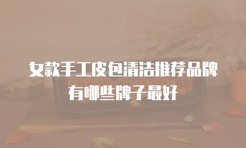 女款手工皮包清洁推荐品牌有哪些牌子最好