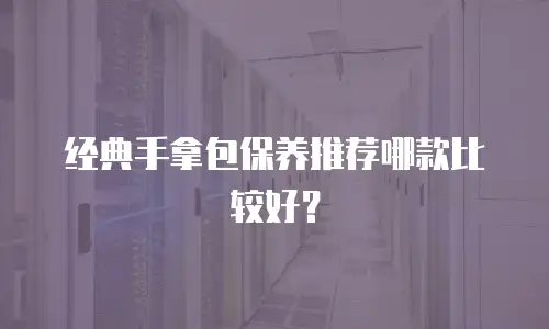 经典手拿包保养推荐哪款比较好？