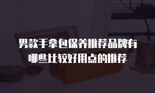 男款手拿包保养推荐品牌有哪些比较好用点的推荐