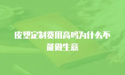 皮塑定制费用高吗为什么不能做生意