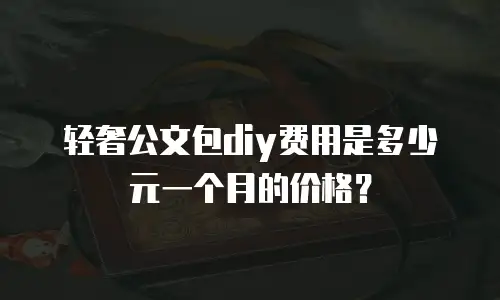轻奢公文包diy费用是多少元一个月的价格？