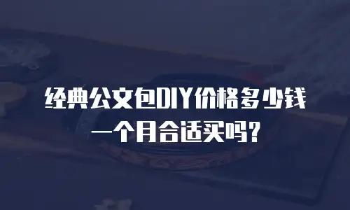 经典公文包DIY价格多少钱一个月合适买吗？
