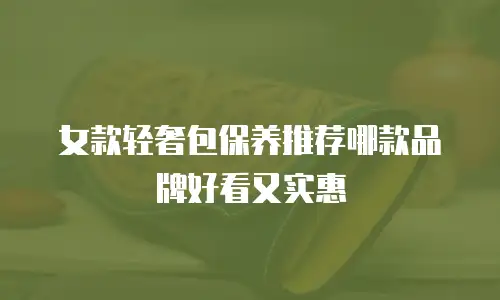 女款轻奢包保养推荐哪款品牌好看又实惠