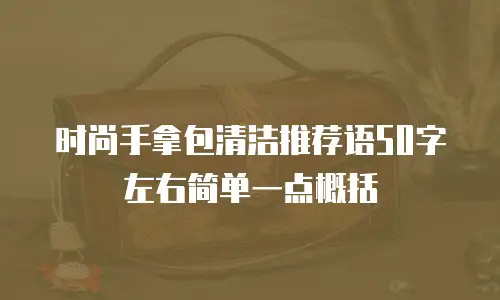 时尚手拿包清洁推荐语50字左右简单一点概括