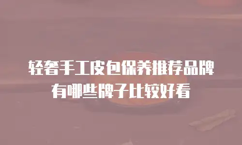 轻奢手工皮包保养推荐品牌有哪些牌子比较好看
