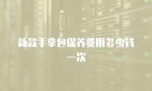 新款手拿包保养费用多少钱一次
