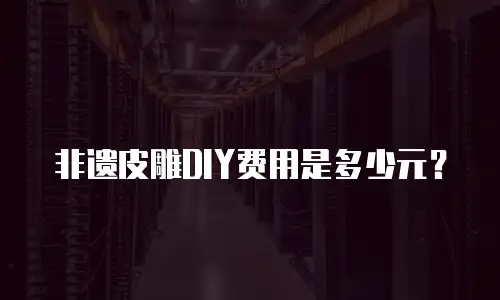 非遗皮雕DIY费用是多少元？