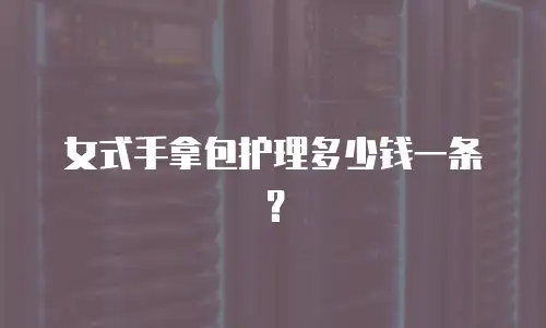 女式手拿包护理多少钱一条？