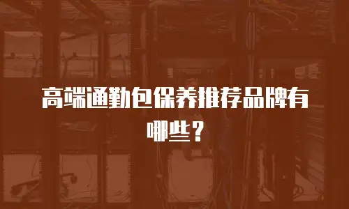 高端通勤包保养推荐品牌有哪些？