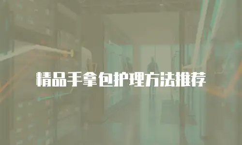 精品手拿包护理方法推荐