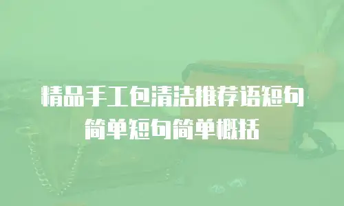 精品手工包清洁推荐语短句简单短句简单概括