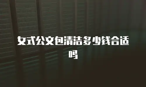 女式公文包清洁多少钱合适吗