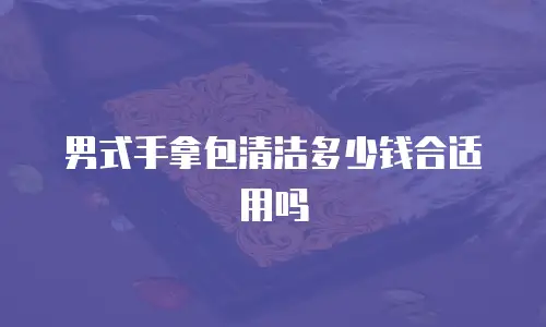 男式手拿包清洁多少钱合适用吗