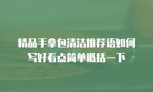 精品手拿包清洁推荐语如何写好看点简单概括一下