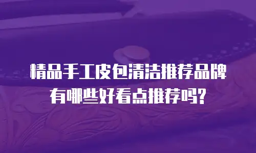 精品手工皮包清洁推荐品牌有哪些好看点推荐吗?
