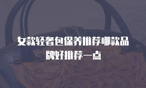女款轻奢包保养推荐哪款品牌好推荐一点