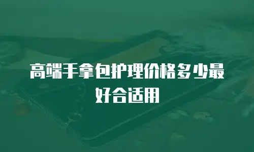 高端手拿包护理价格多少最好合适用