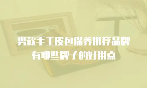 男款手工皮包保养推荐品牌有哪些牌子的好用点