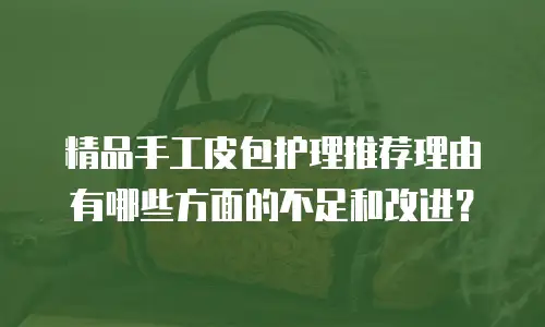 精品手工皮包护理推荐理由有哪些方面的不足和改进？