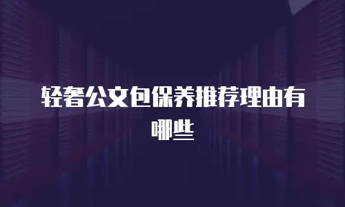 轻奢公文包保养推荐理由有哪些