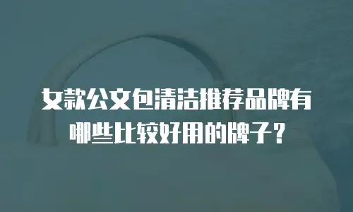 女款公文包清洁推荐品牌有哪些比较好用的牌子？