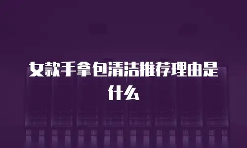 女款手拿包清洁推荐理由是什么