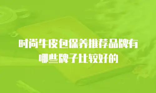 时尚牛皮包保养推荐品牌有哪些牌子比较好的