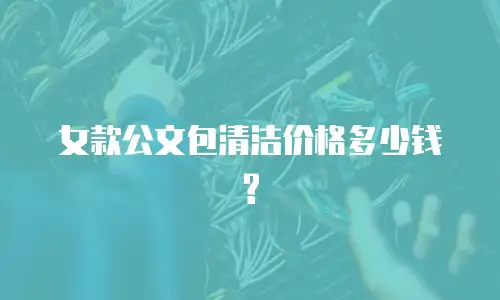 女款公文包清洁价格多少钱?