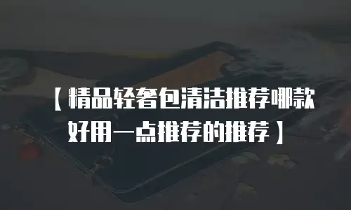 【精品轻奢包清洁推荐哪款好用一点推荐的推荐】