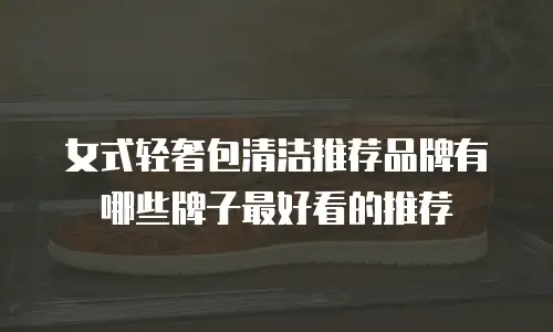 女式轻奢包清洁推荐品牌有哪些牌子最好看的推荐