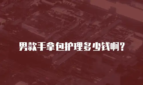 男款手拿包护理多少钱啊？