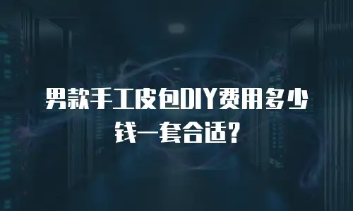 男款手工皮包DIY费用多少钱一套合适？