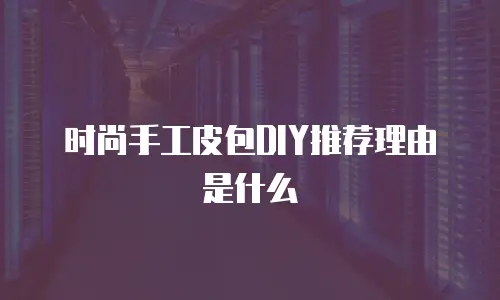 时尚手工皮包DIY推荐理由是什么