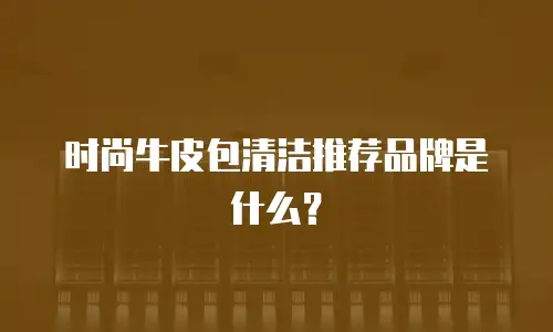 时尚牛皮包清洁推荐品牌是什么？