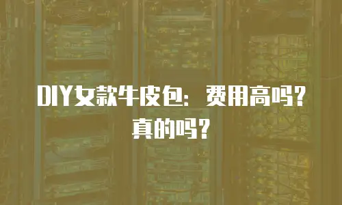DIY女款牛皮包：费用高吗？真的吗？