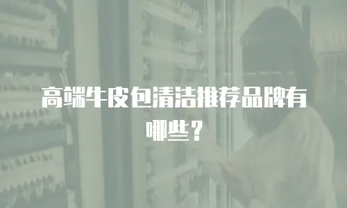 高端牛皮包清洁推荐品牌有哪些？
