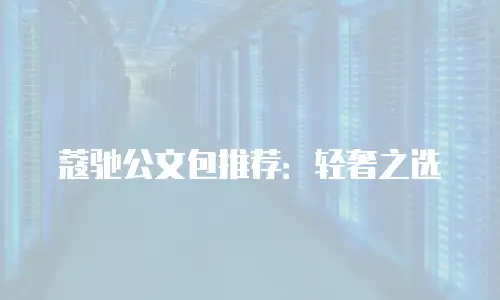 蔻驰公文包推荐：轻奢之选