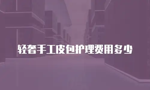 轻奢手工皮包护理费用多少