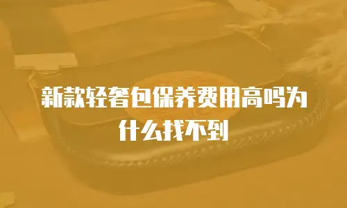 新款轻奢包保养费用高吗为什么找不到