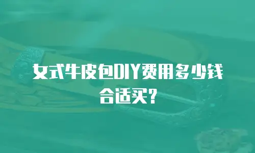 女式牛皮包DIY费用多少钱合适买？