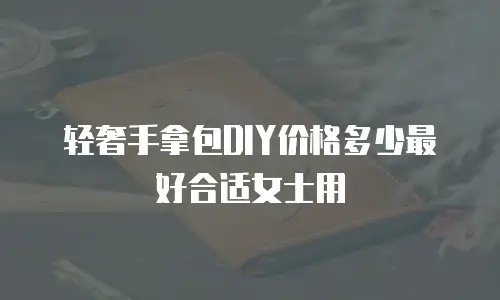 轻奢手拿包DIY价格多少最好合适女士用