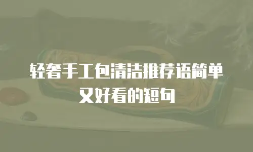轻奢手工包清洁推荐语简单又好看的短句