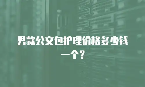 男款公文包护理价格多少钱一个？