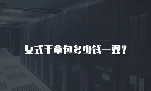 女式手拿包多少钱一双？