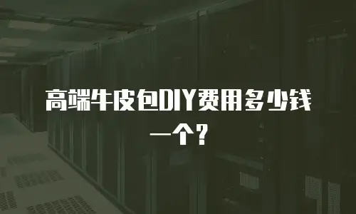 高端牛皮包DIY费用多少钱一个？