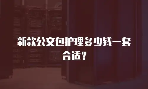 新款公文包护理多少钱一套合适？