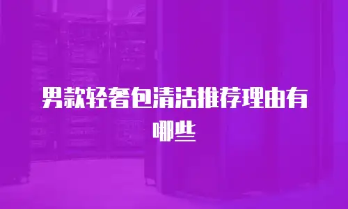 男款轻奢包清洁推荐理由有哪些
